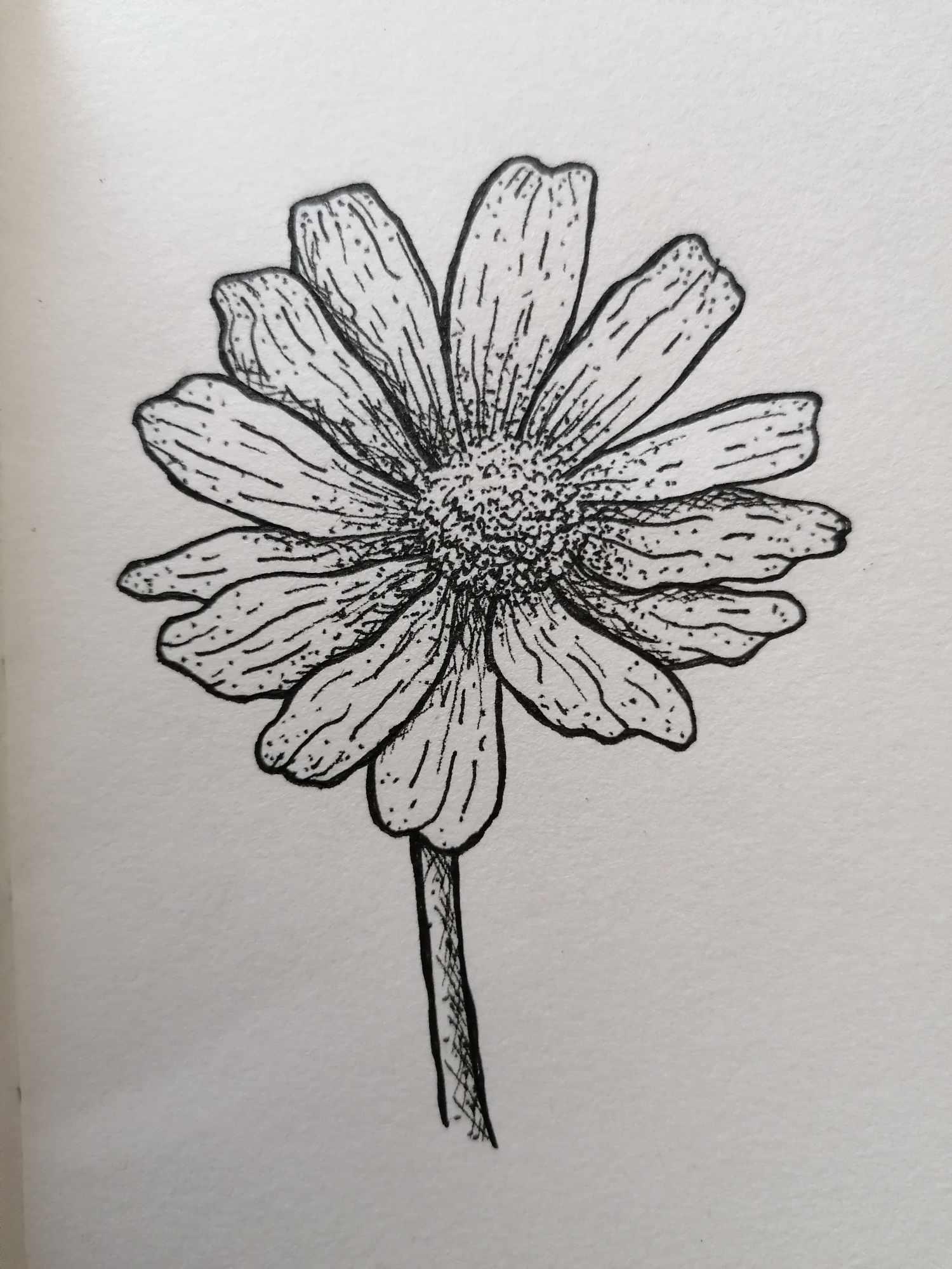 Flowers - image 1 - student project
