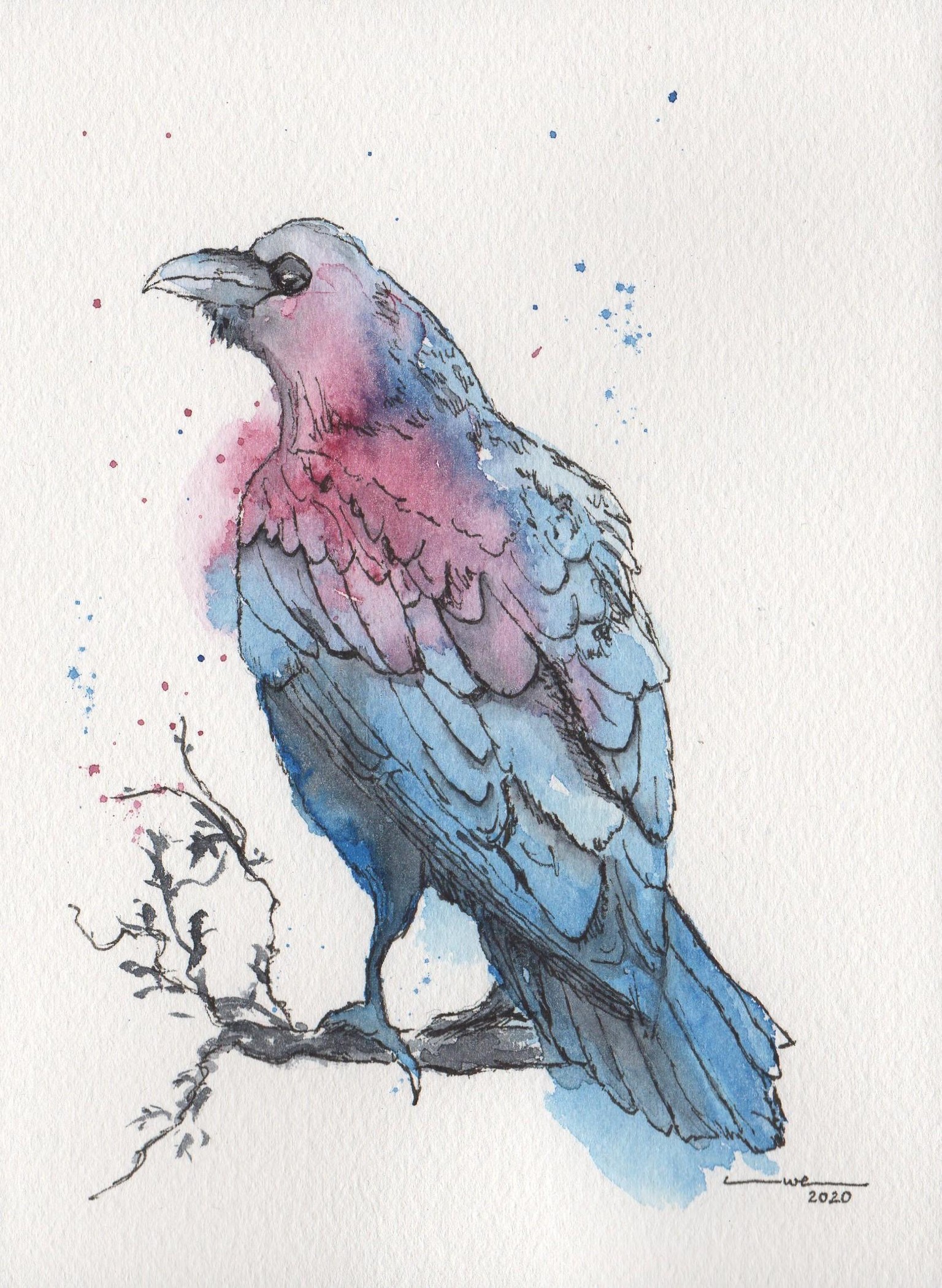 Colourful Raven - image 1 - student project