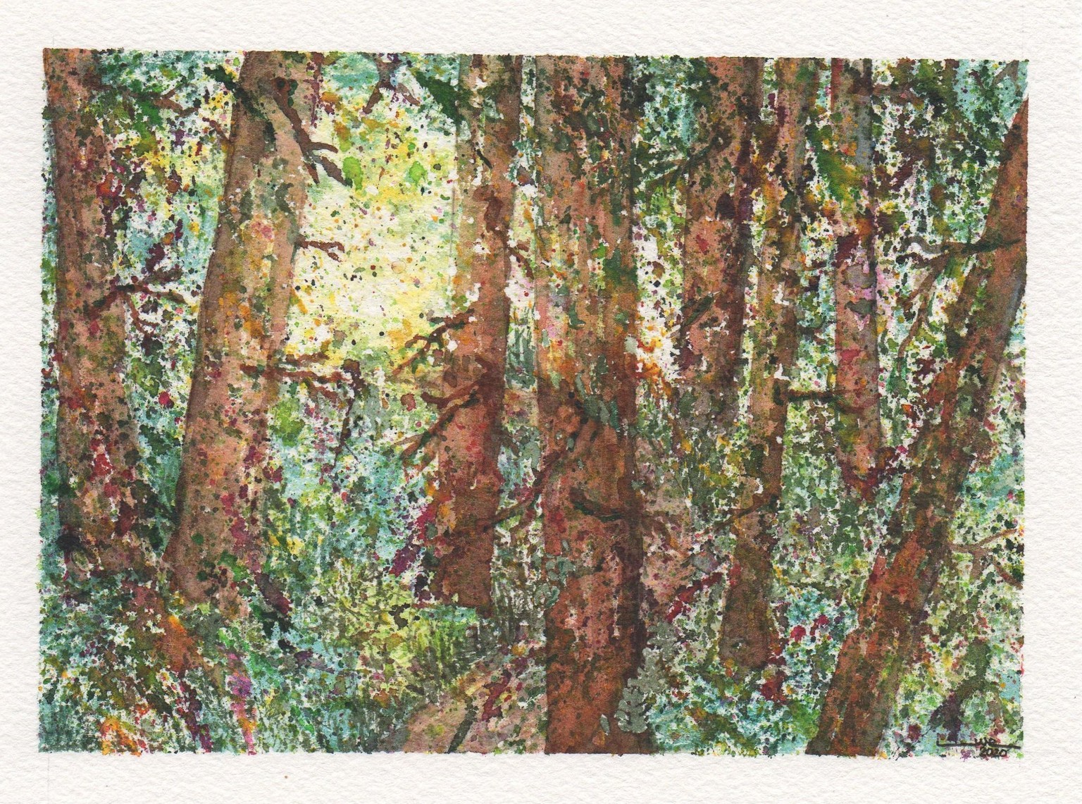 Forest Trail - image 1 - student project