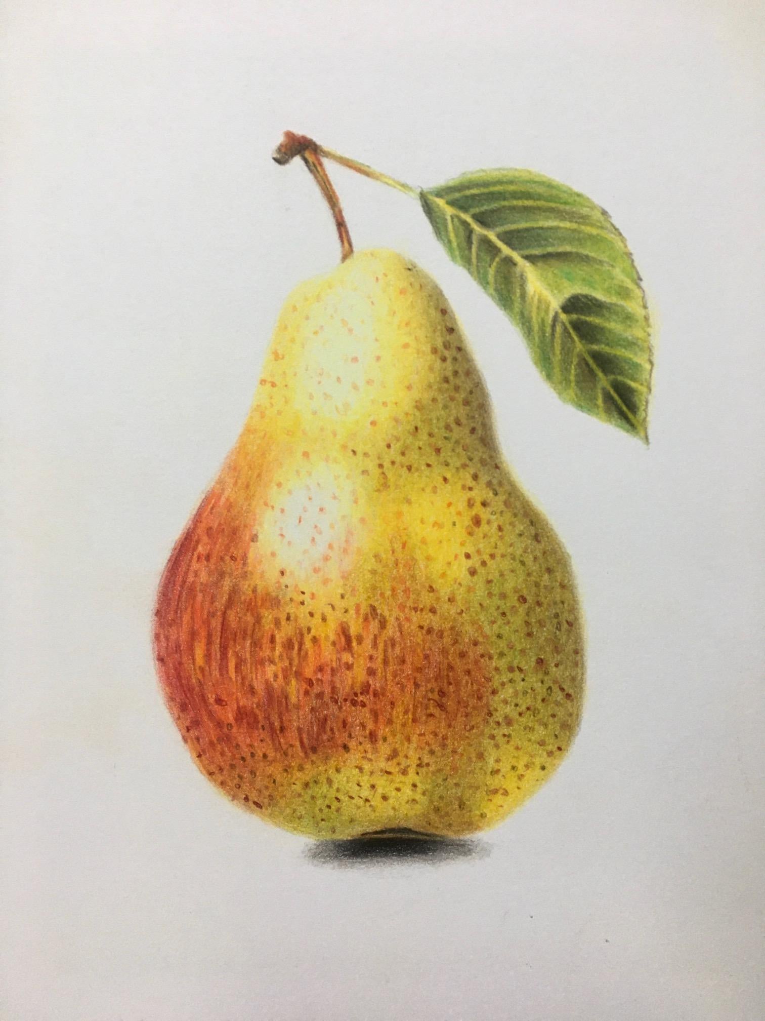 My pear for the class - image 1 - student project
