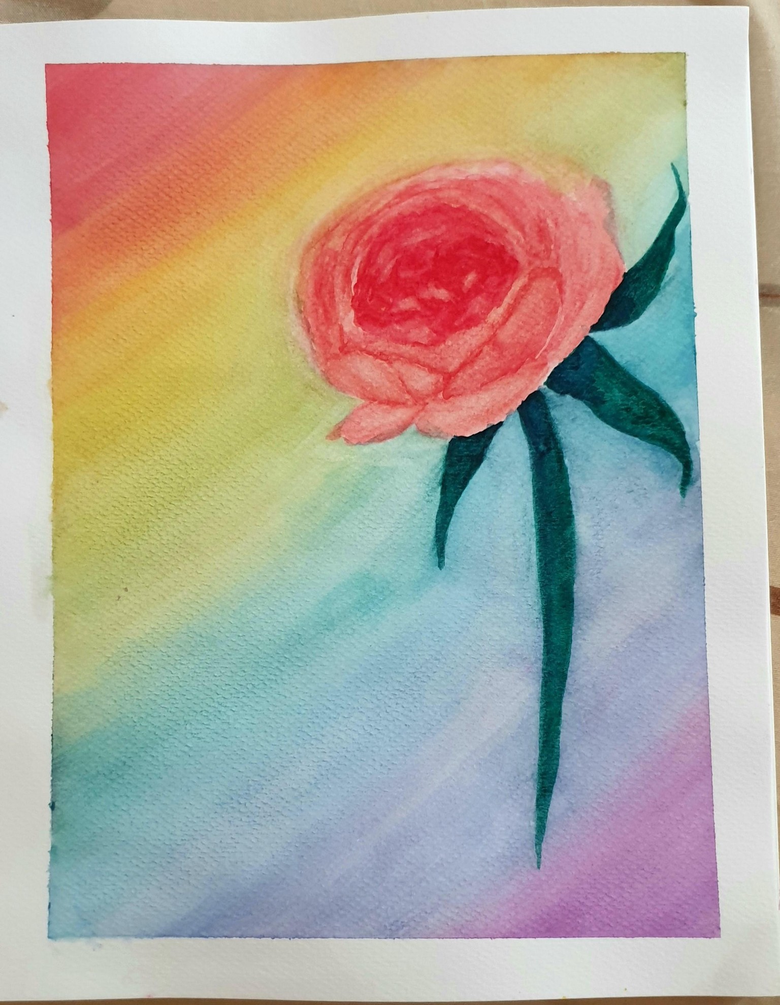 Peonies - image 1 - student project