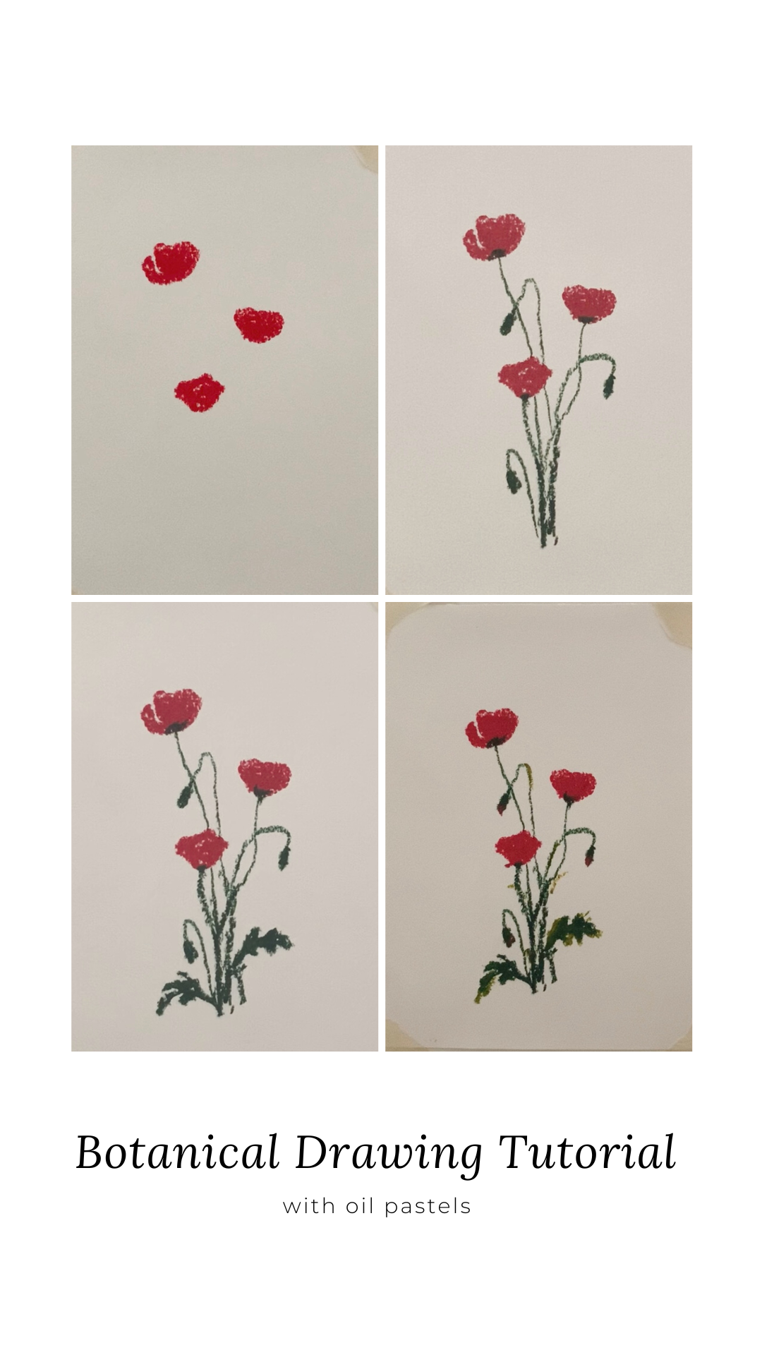 Poppies with oil pastels - image 1 - student project
