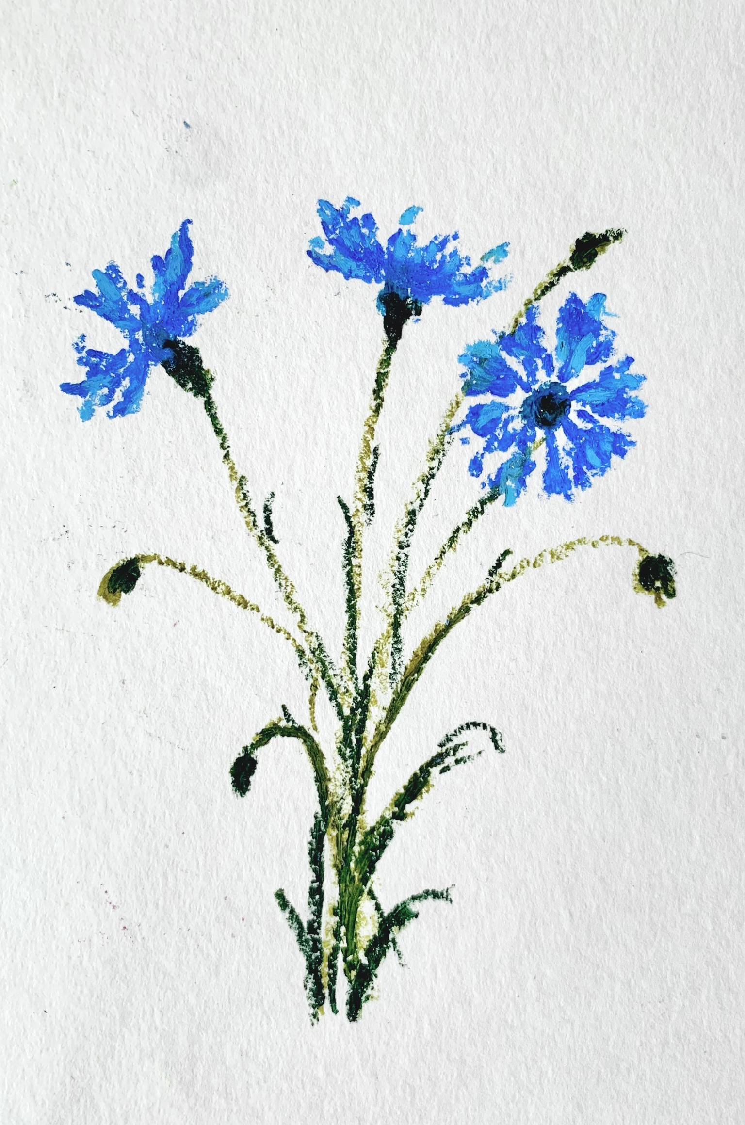 Cornflowers with oil pastels - image 1 - student project