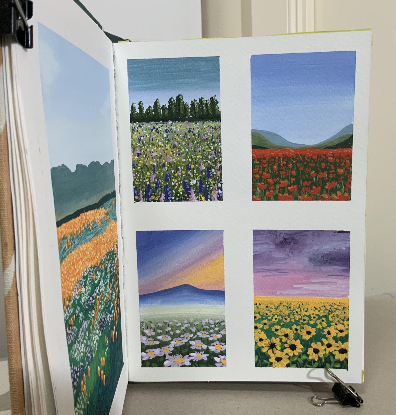 4 flower fields - image 1 - student project