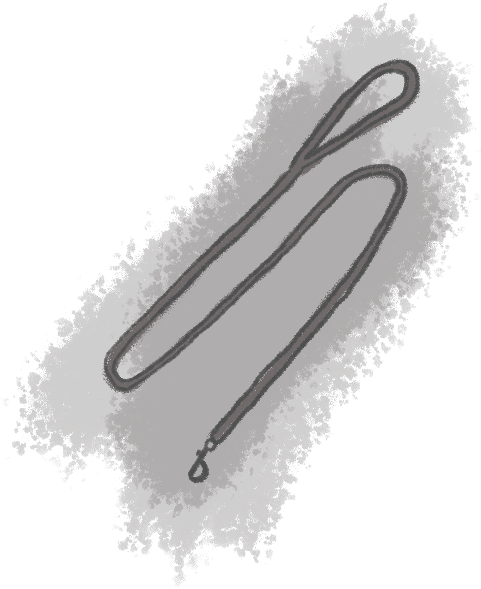 Tips from a Professional Dog Walker - image 4 - student project