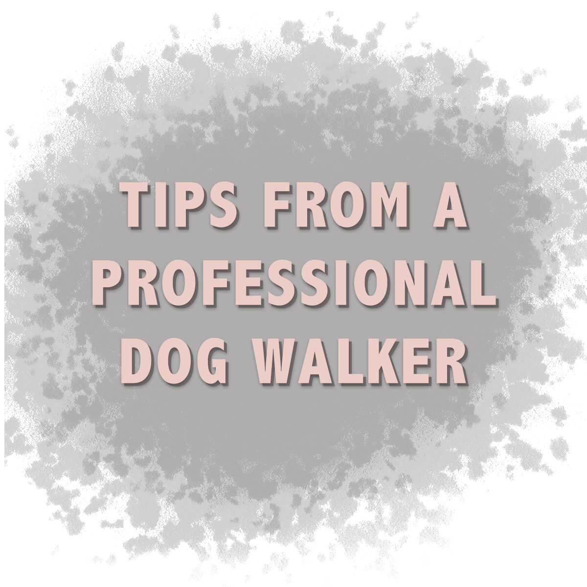 Tips from a Professional Dog Walker - image 1 - student project