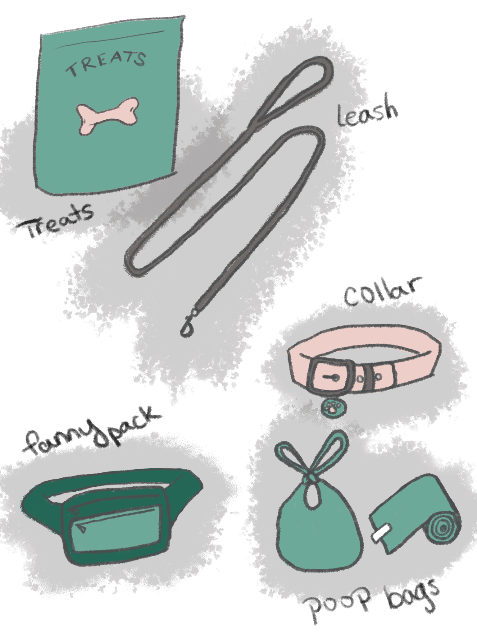 Tips from a Professional Dog Walker - image 2 - student project