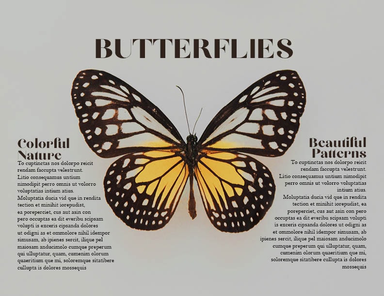 Final projects - image 2 - student project