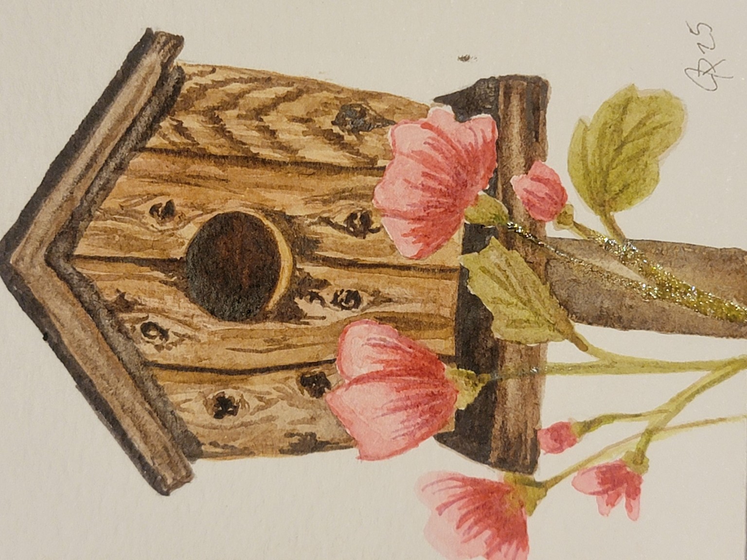 birdhouse - image 1 - student project