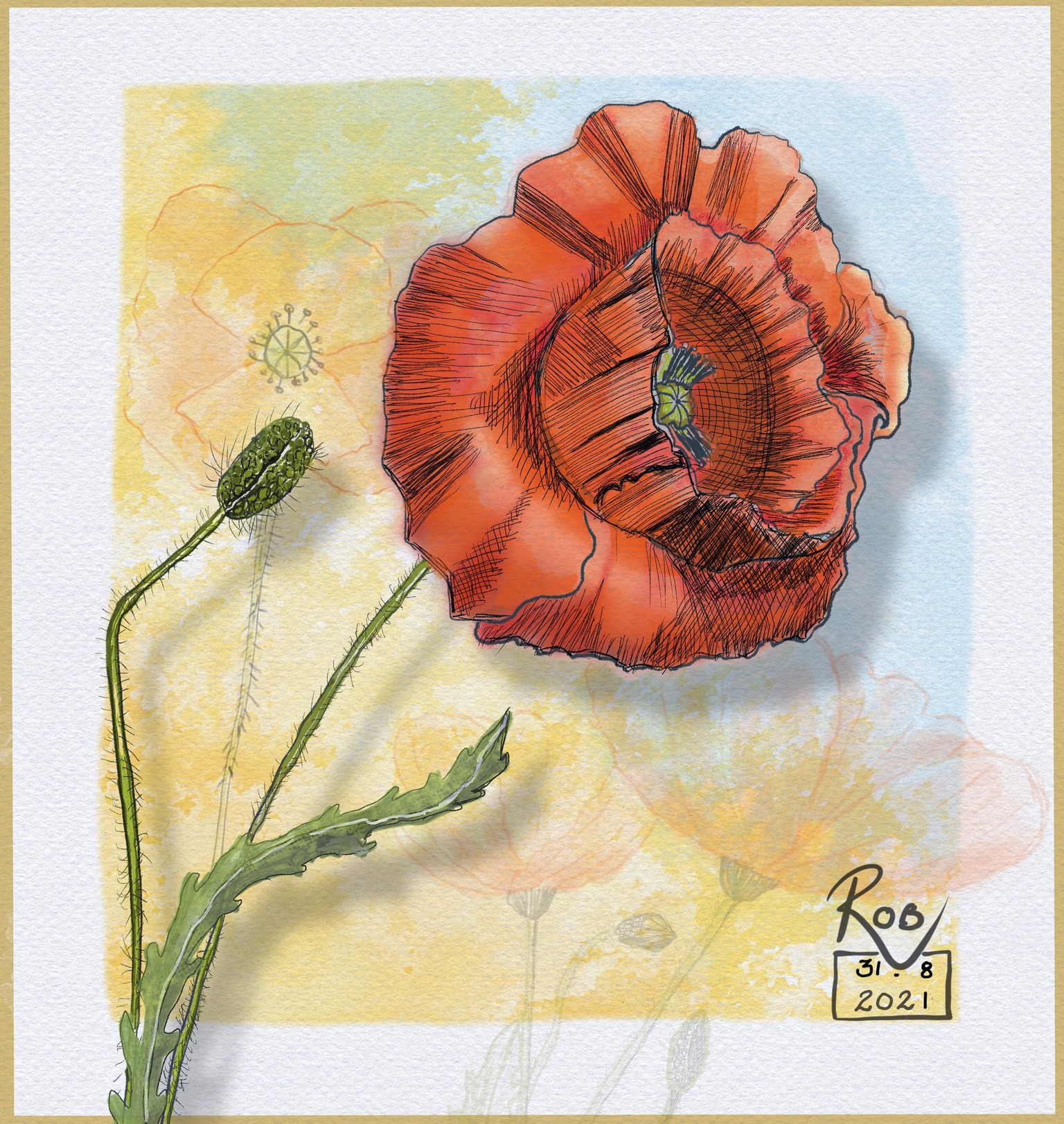 Quick Sketches Project including Poppies - image 2 - student project