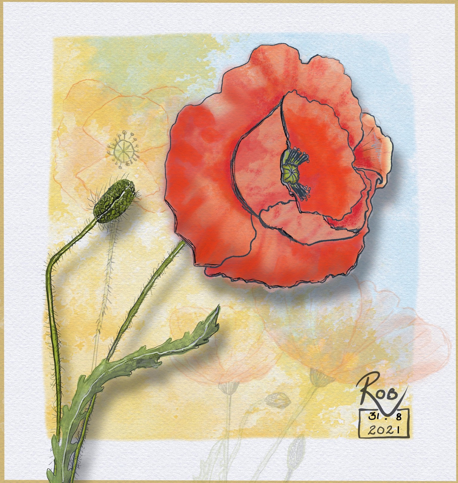 Quick Sketches Project including Poppies - image 1 - student project