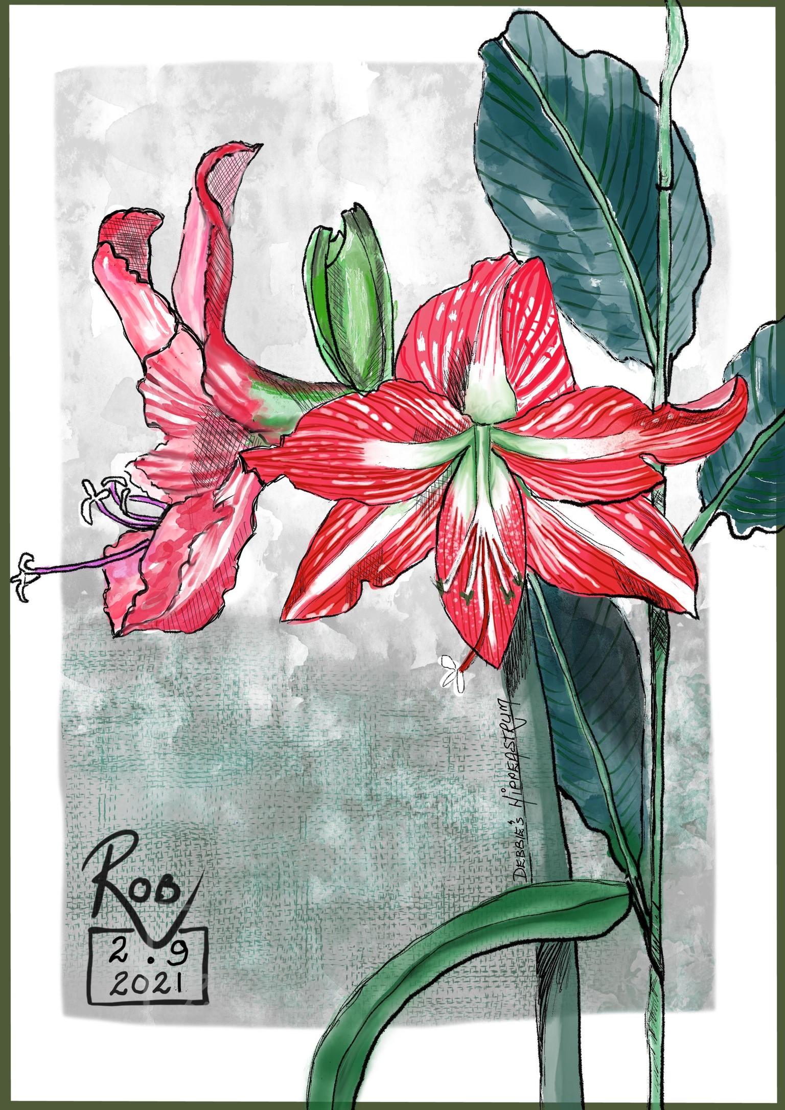 Quick Sketches Project including Poppies - image 3 - student project