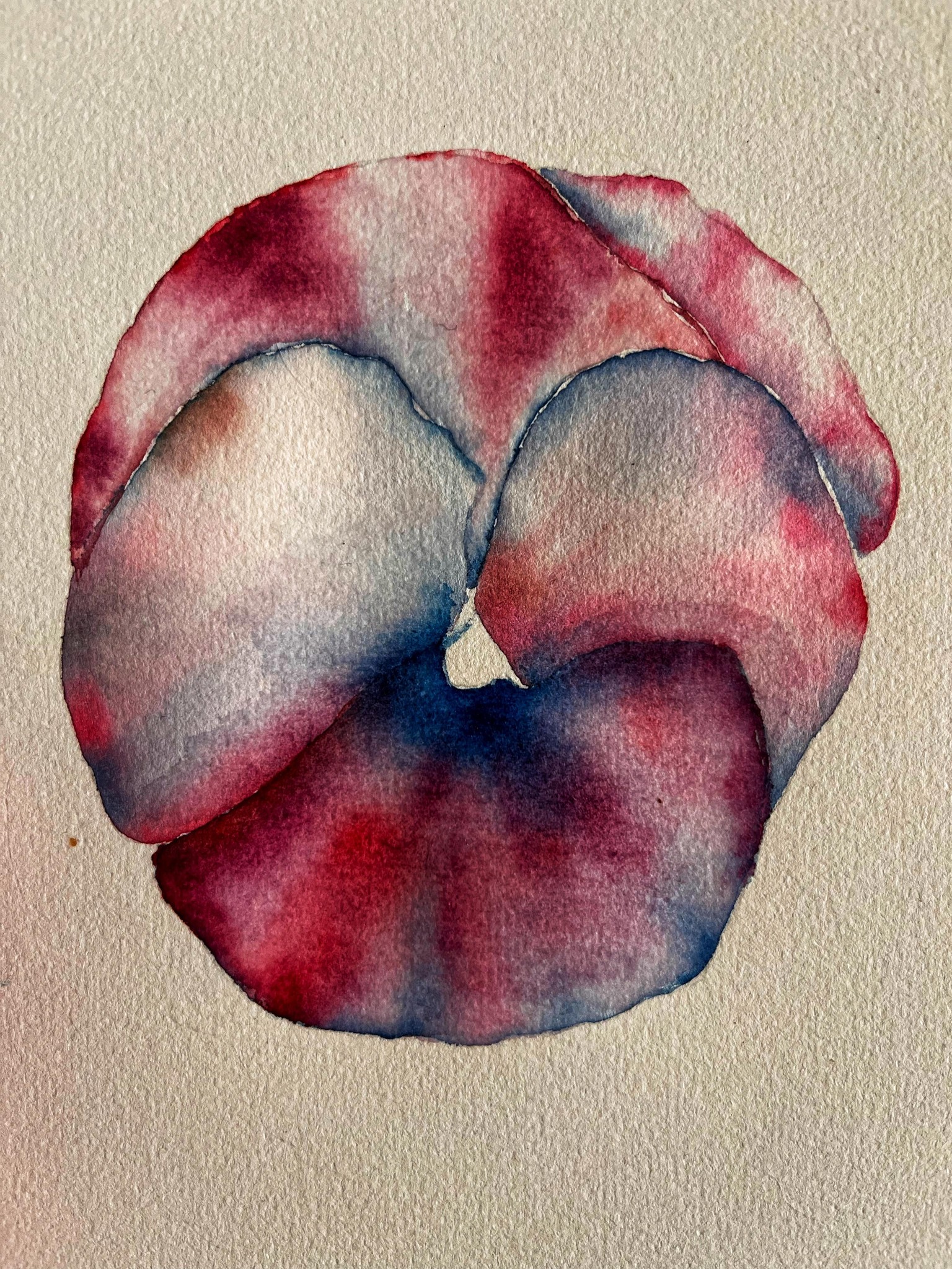 Viola - image 2 - student project