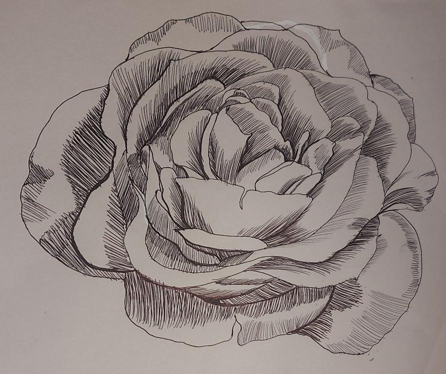 April Class 1 - image 1 - student project
