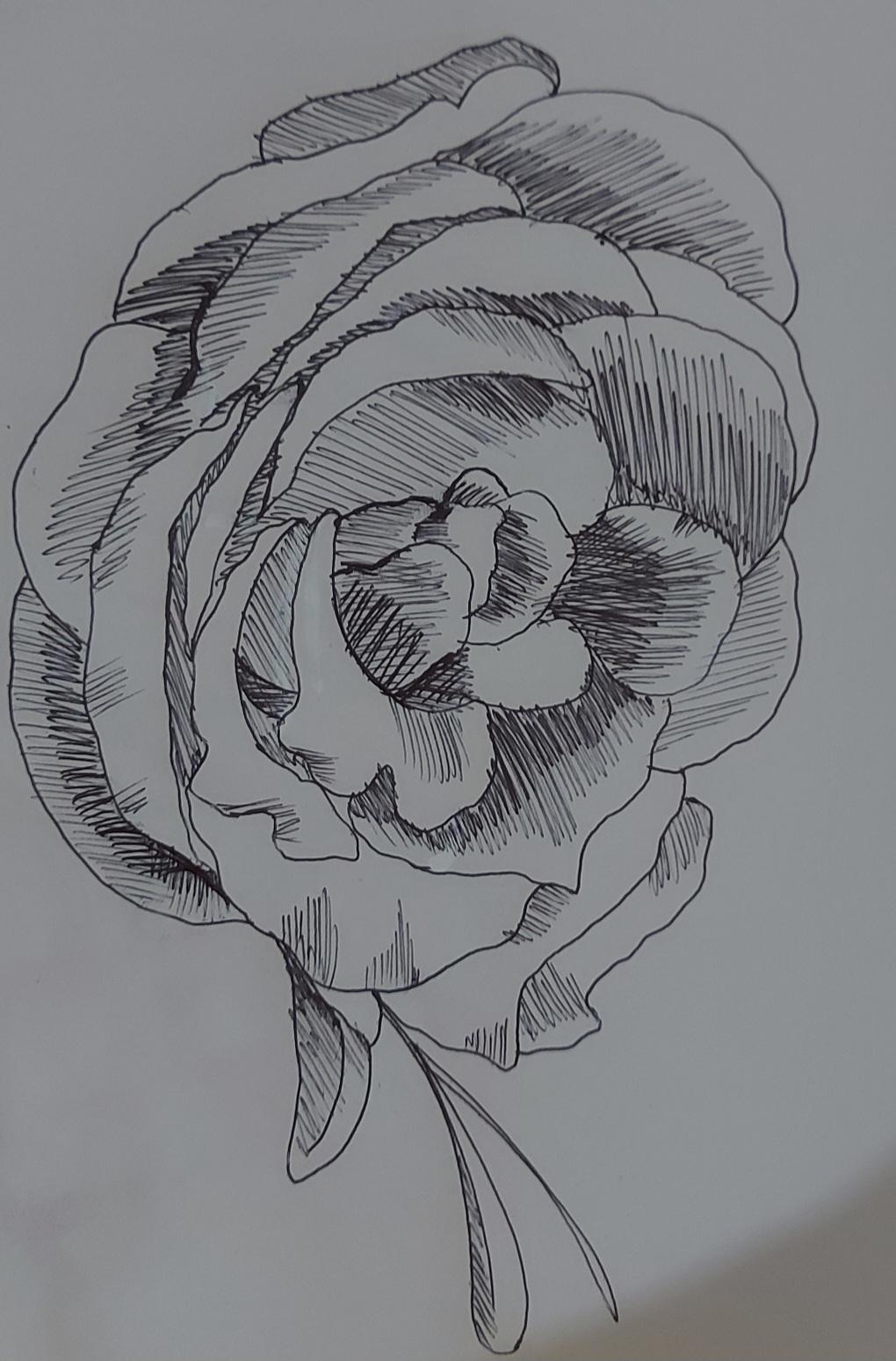 April Class 1 - image 3 - student project