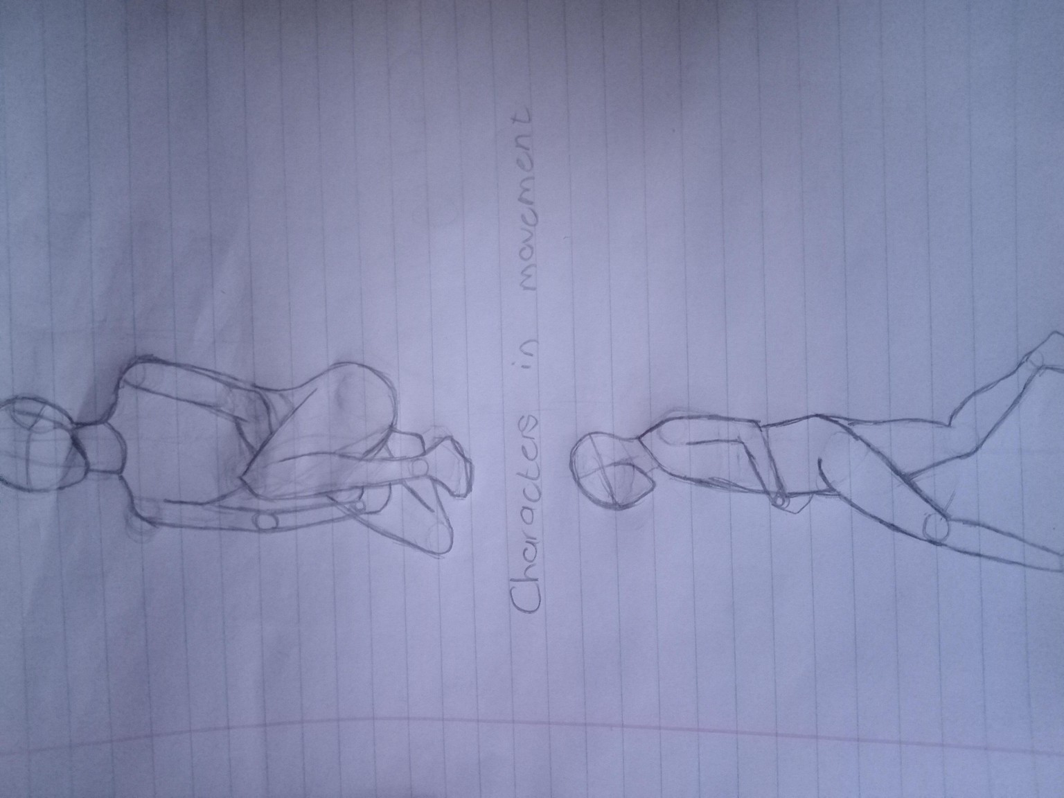 Anatomy basic - image 7 - student project