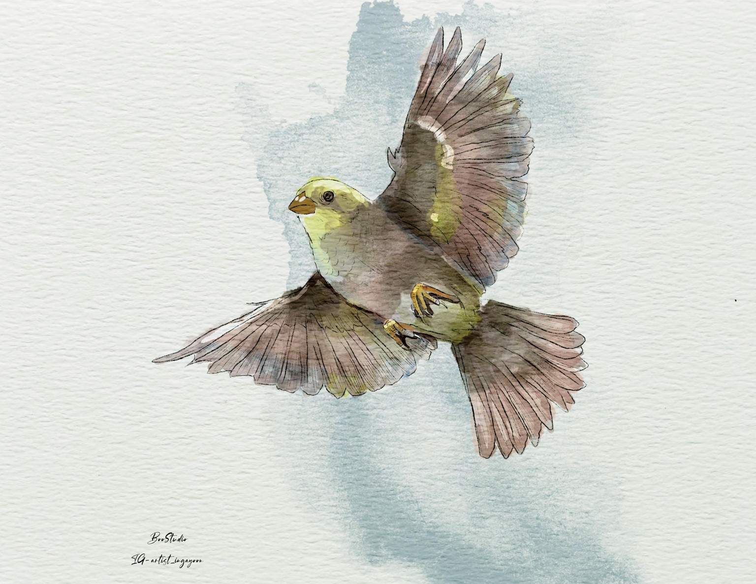 Project painting birds in a different styles - image 1 - student project