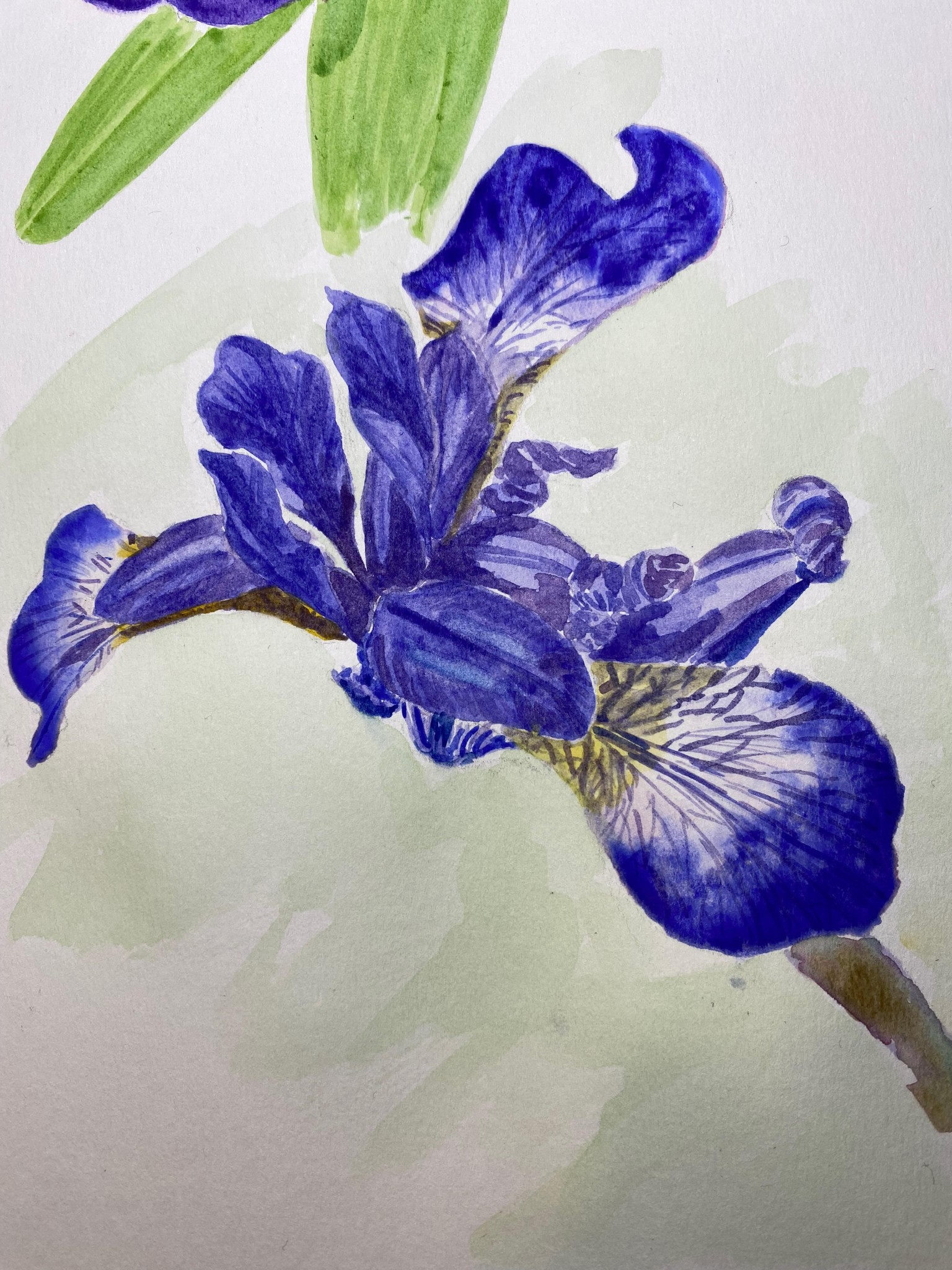 floral - image 1 - student project