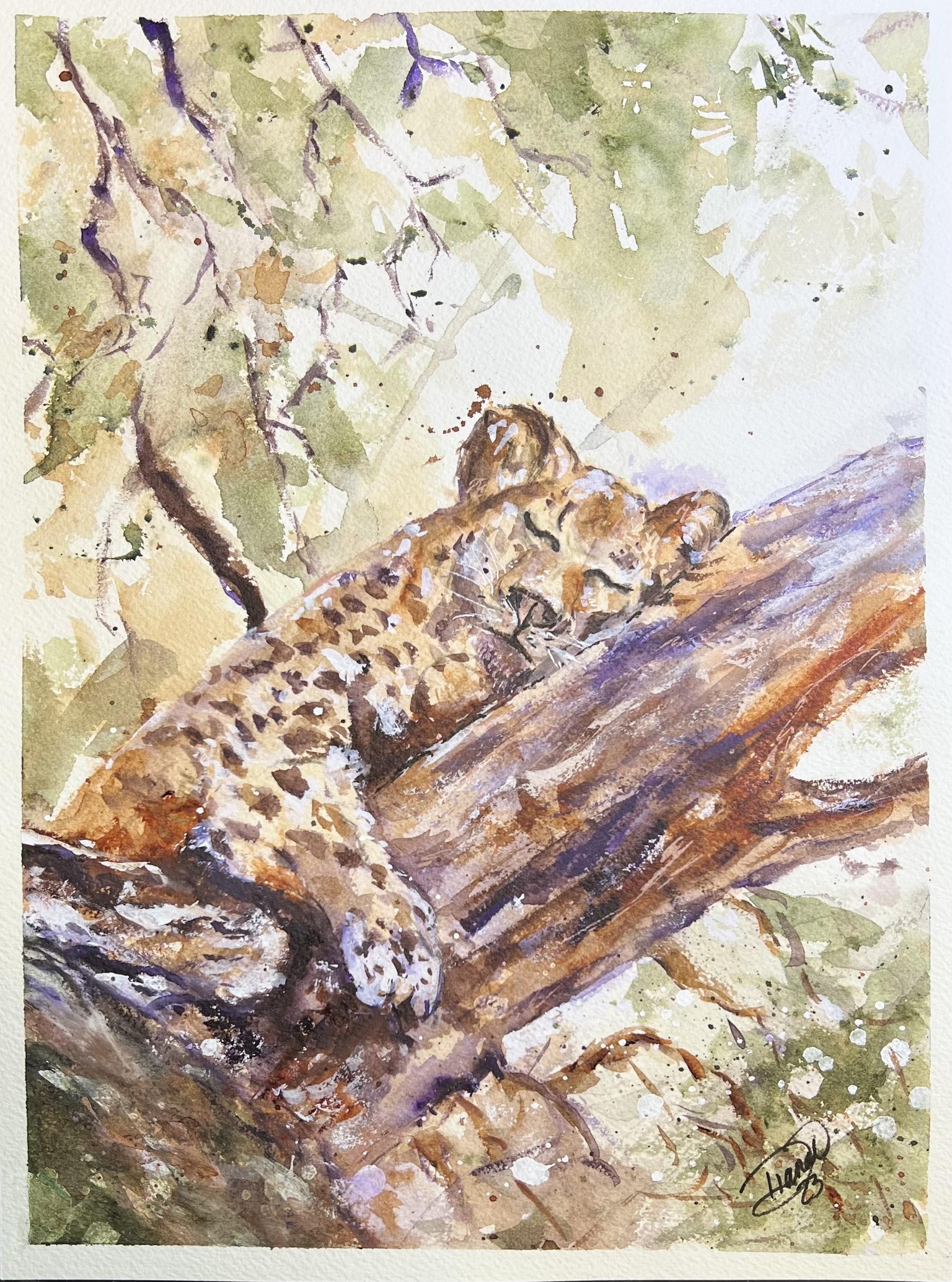 Sleeping Jaguar & Royal King Roary - image 1 - student project