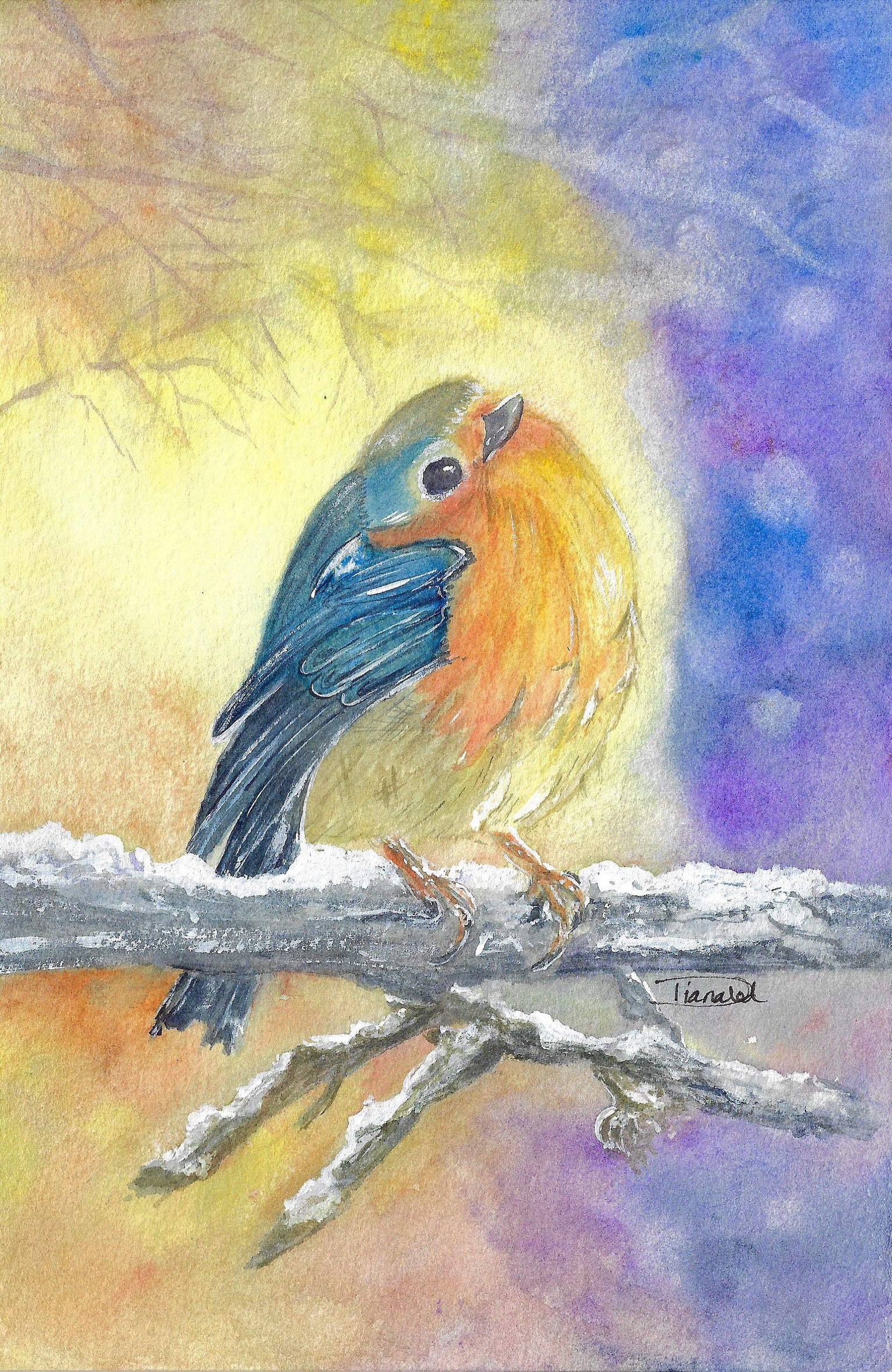 A Robin's Respite: A Wintery Oasis of Comfort, Food and Sleep - image 3 - student project