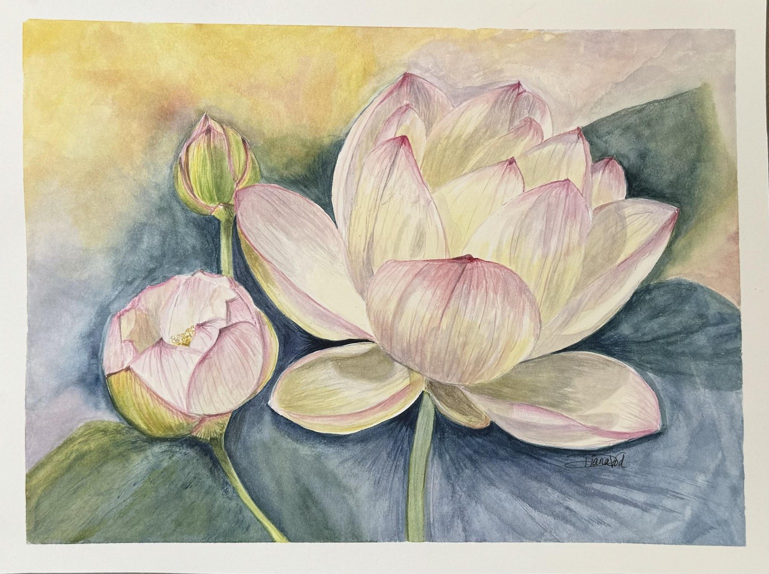 Lilies that Pop on White Paper - image 1 - student project
