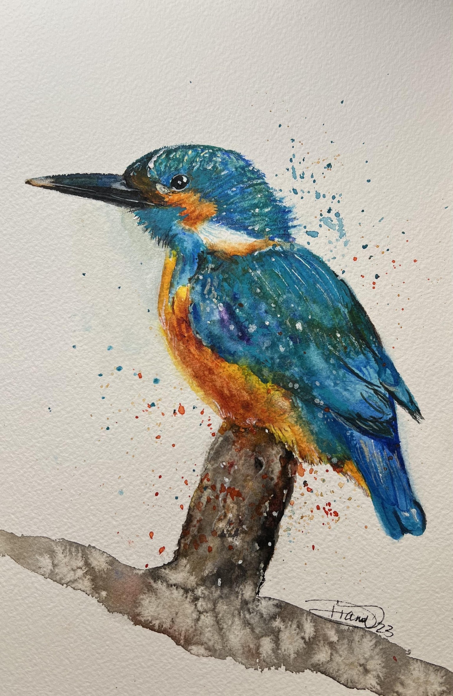 Kingfisher in watercolor - image 1 - student project