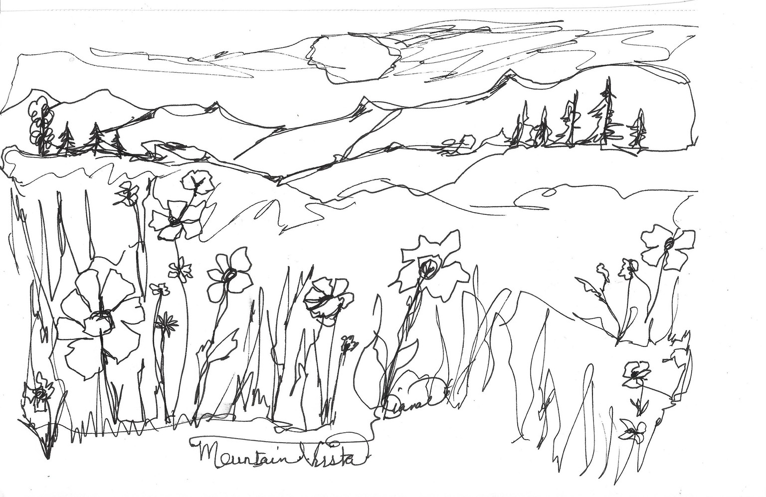 Continuous Line Floral drawings - image 3 - student project