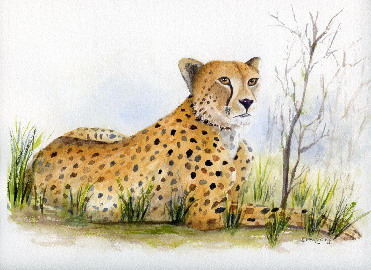 Eyes of the Savannah - image 1 - student project