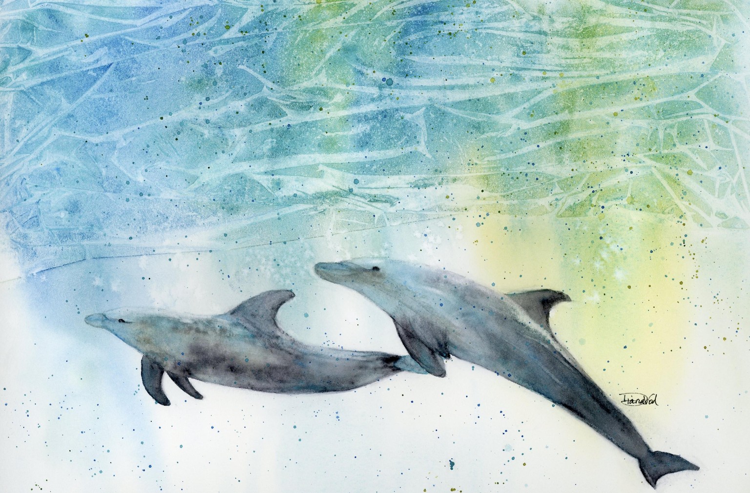 Dolphin Play - image 1 - student project