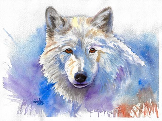 White Wolf Capturing Wild Beauty - image 1 - student project