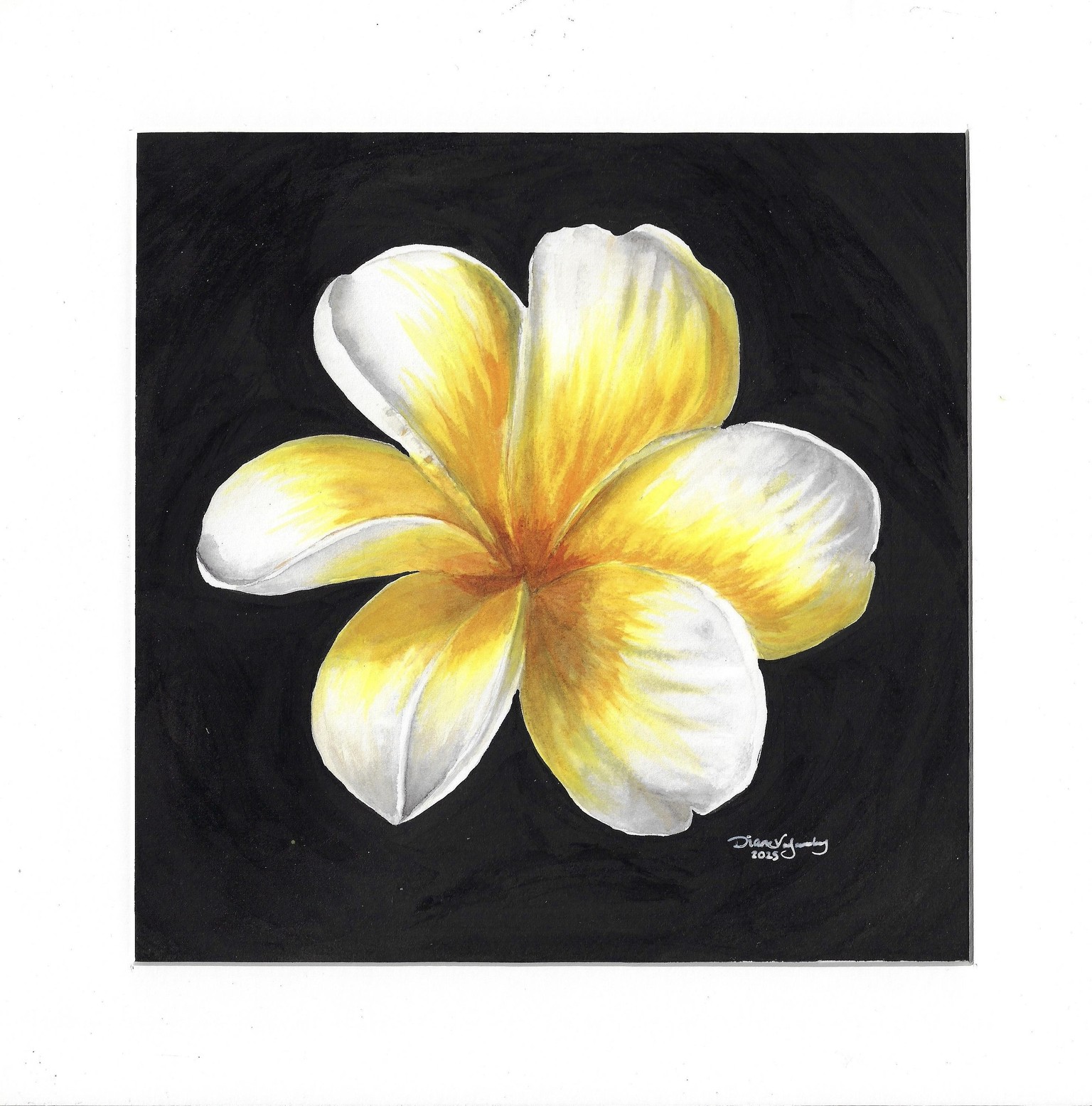 Plumeria - image 1 - student project
