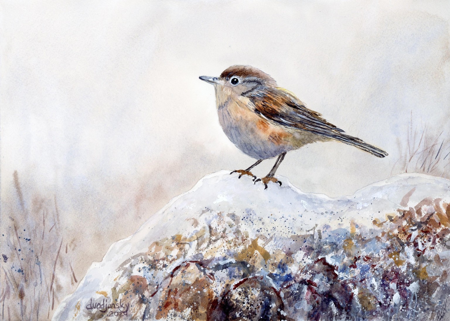 Wren in Snow - image 1 - student project