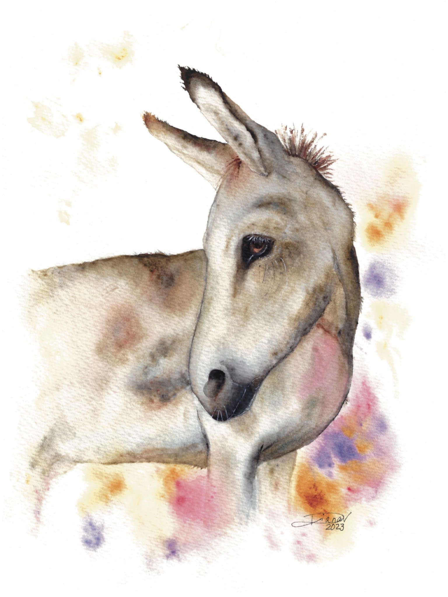 Mr. Donkey - image 1 - student project