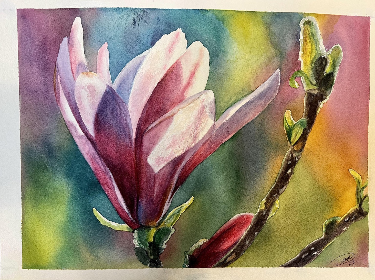 Beautiful magnolia in watercolor - image 1 - student project