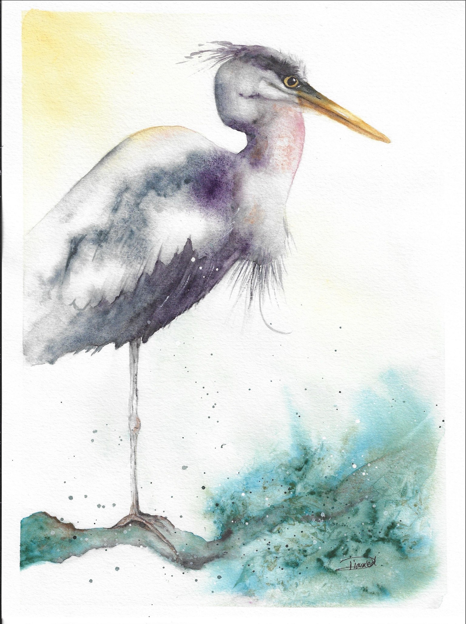 Grey Heron - image 1 - student project