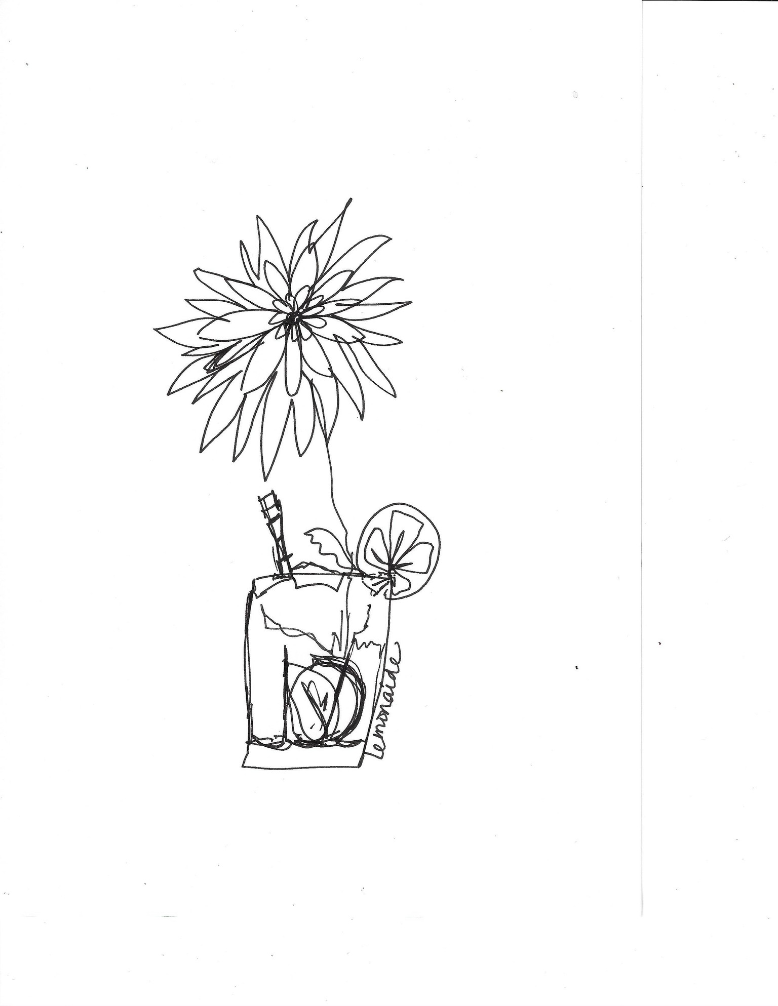 Continuous Line Floral drawings - image 4 - student project