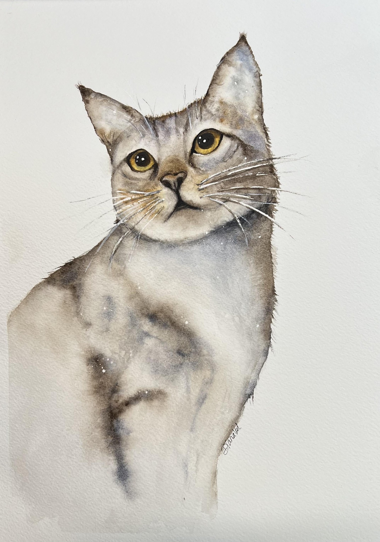 Updated Tabby Cat - image 1 - student project