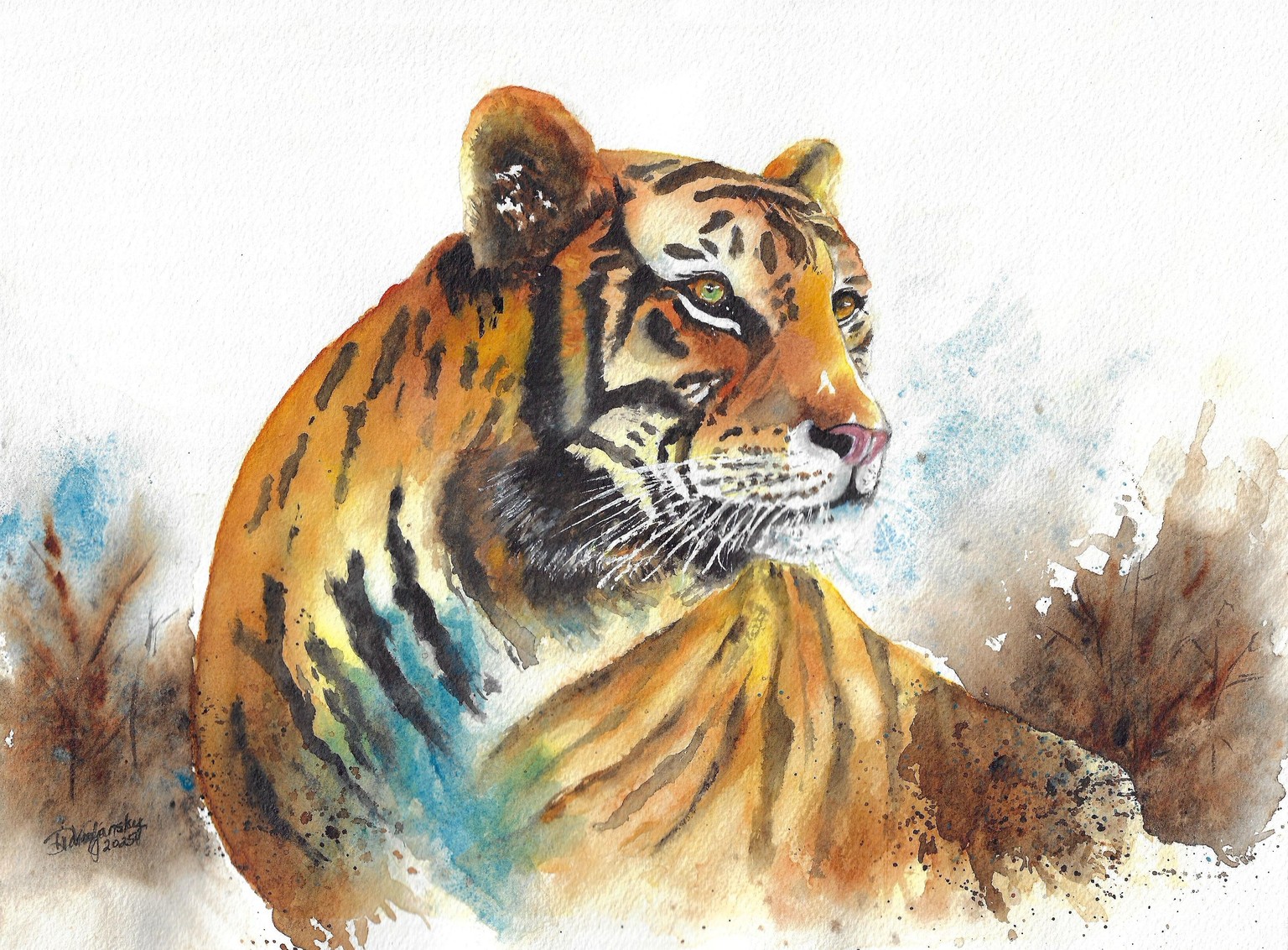 The Tiger - image 1 - student project