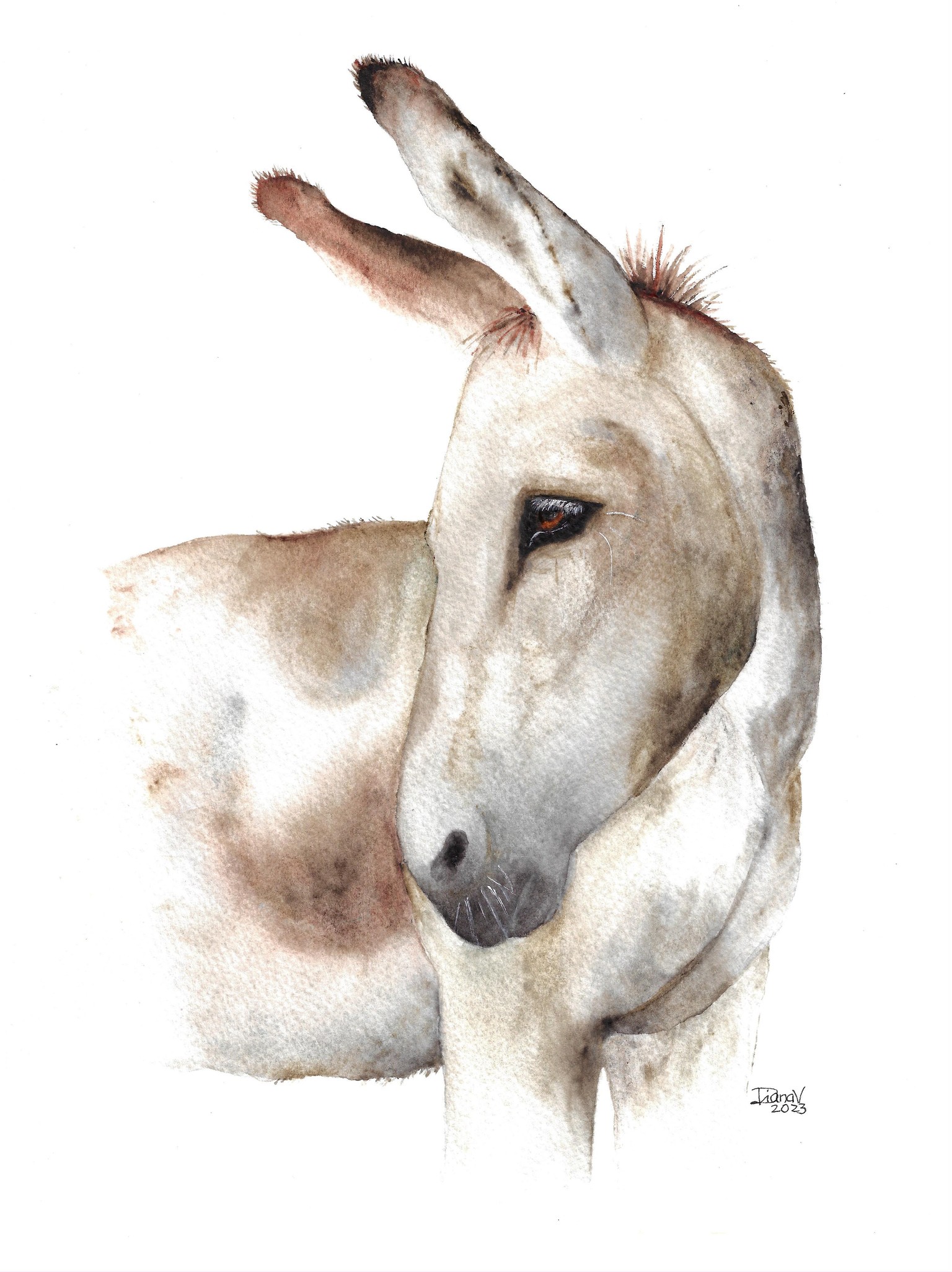 Mr. Donkey - image 2 - student project