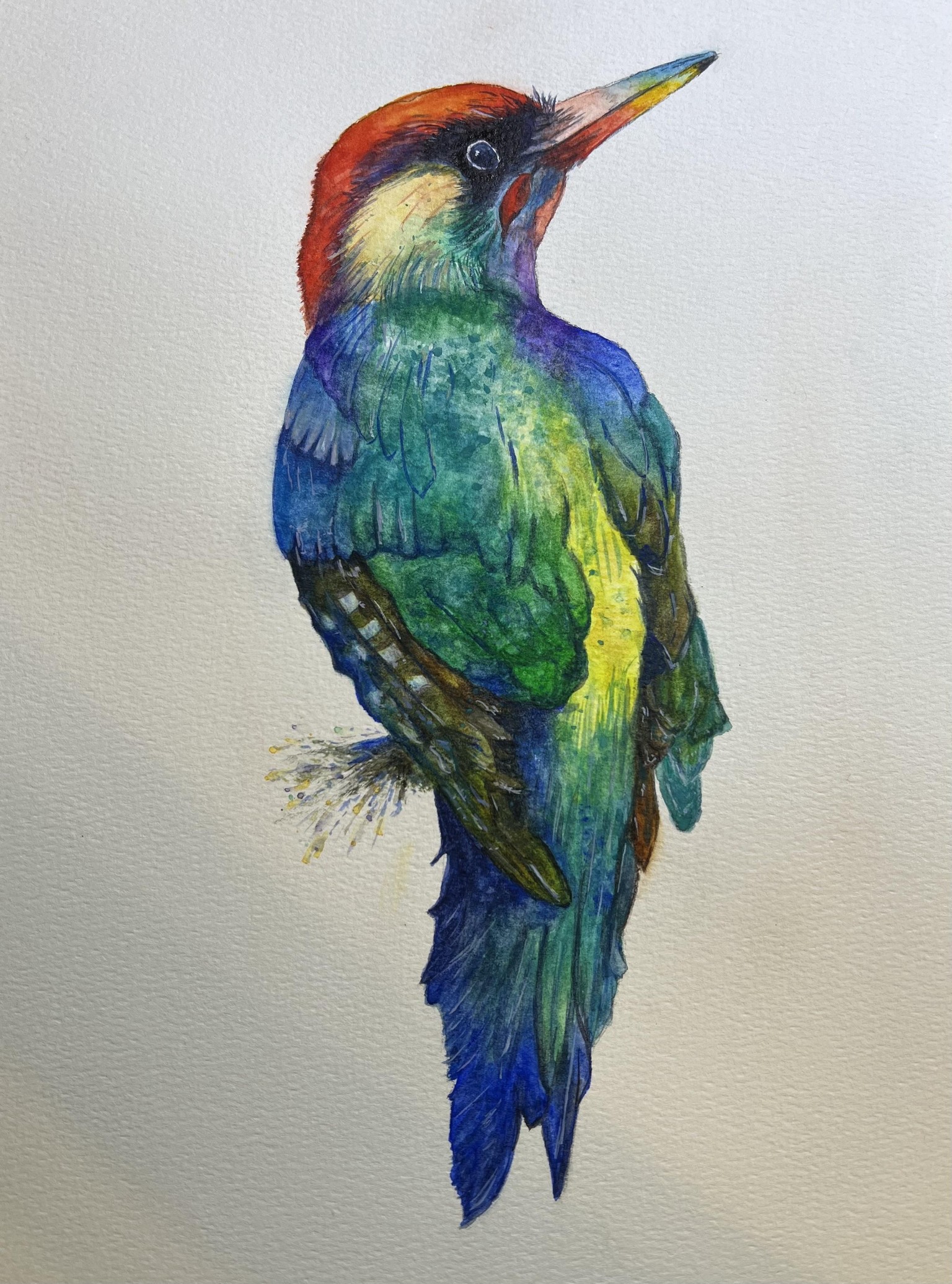 Colorful Birds in Watercolor - image 1 - student project