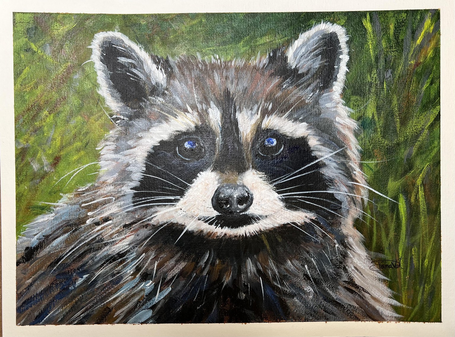 Common Raccoon~Plentiful in Oregon - image 1 - student project