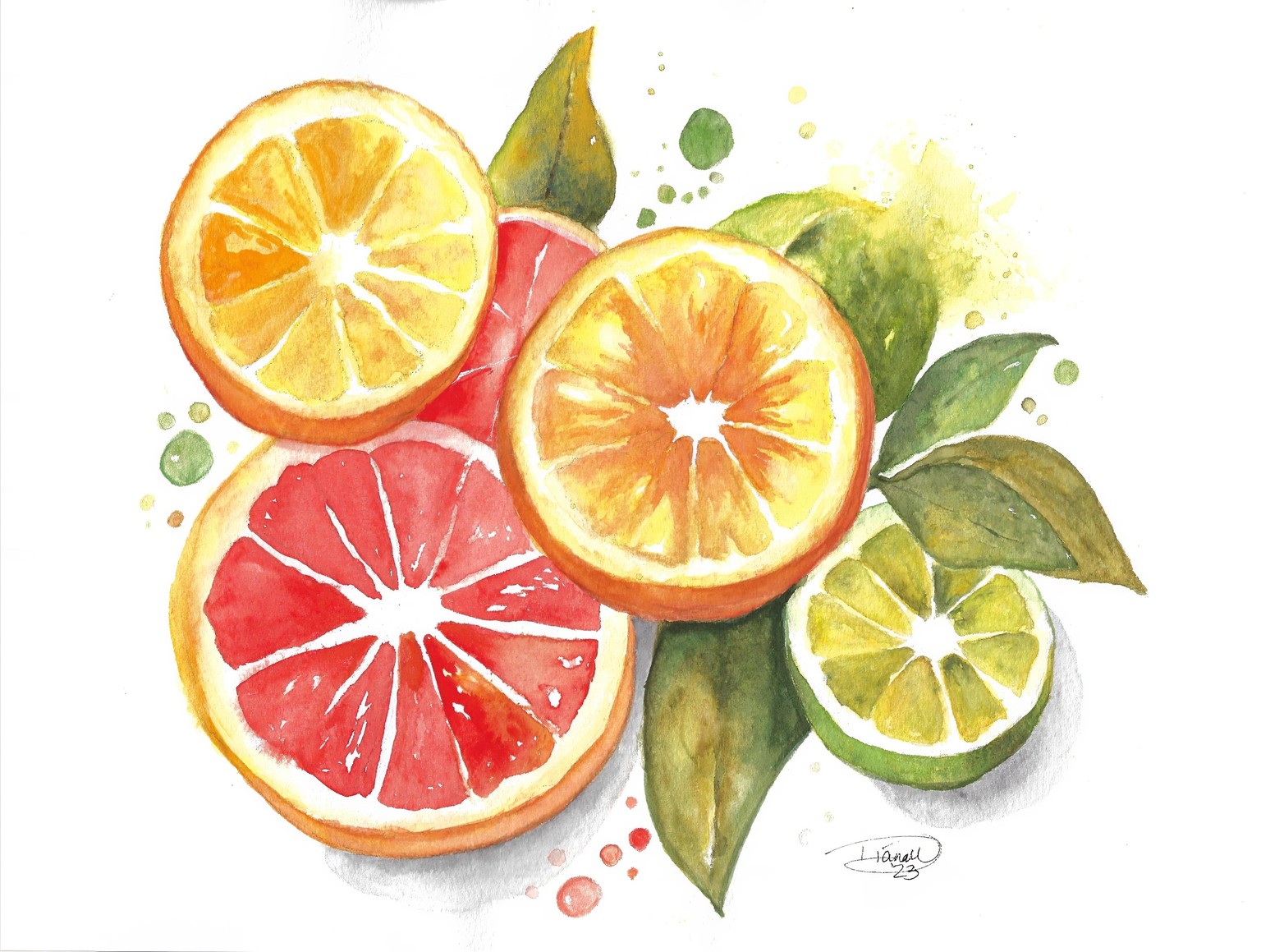 Citrus Fruits - image 1 - student project