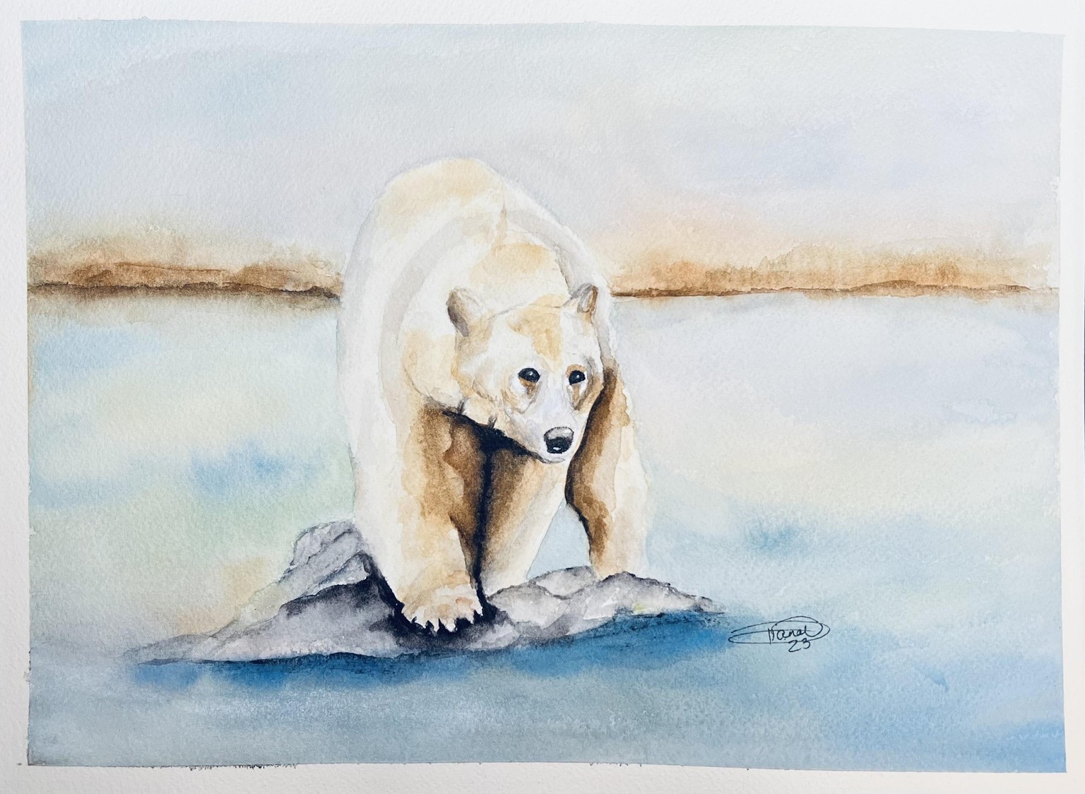 Spirit Bear - image 1 - student project