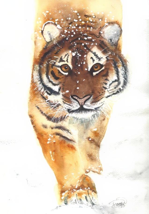 Mr Tiger - image 1 - student project