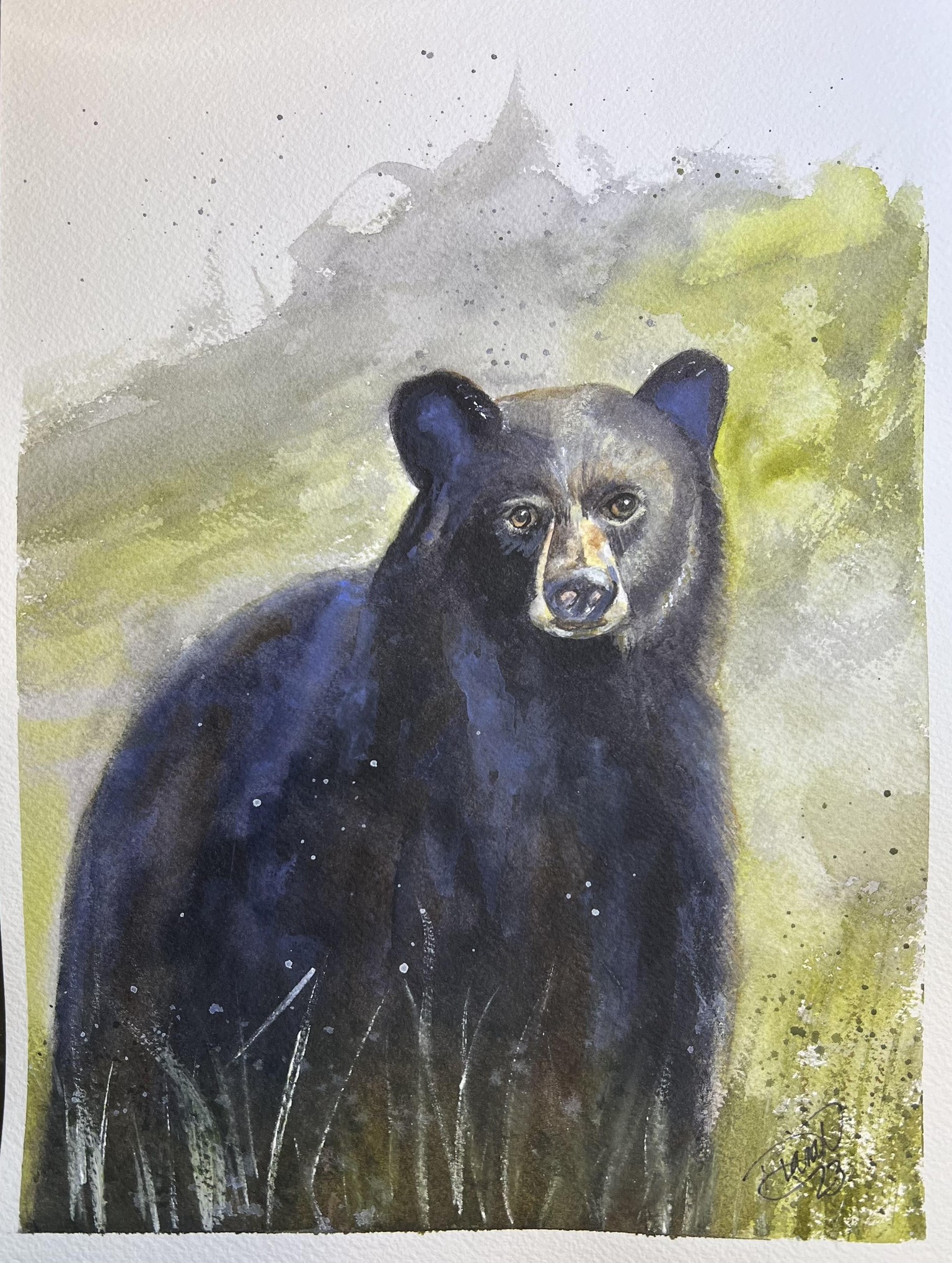 Spirit Bear - image 2 - student project