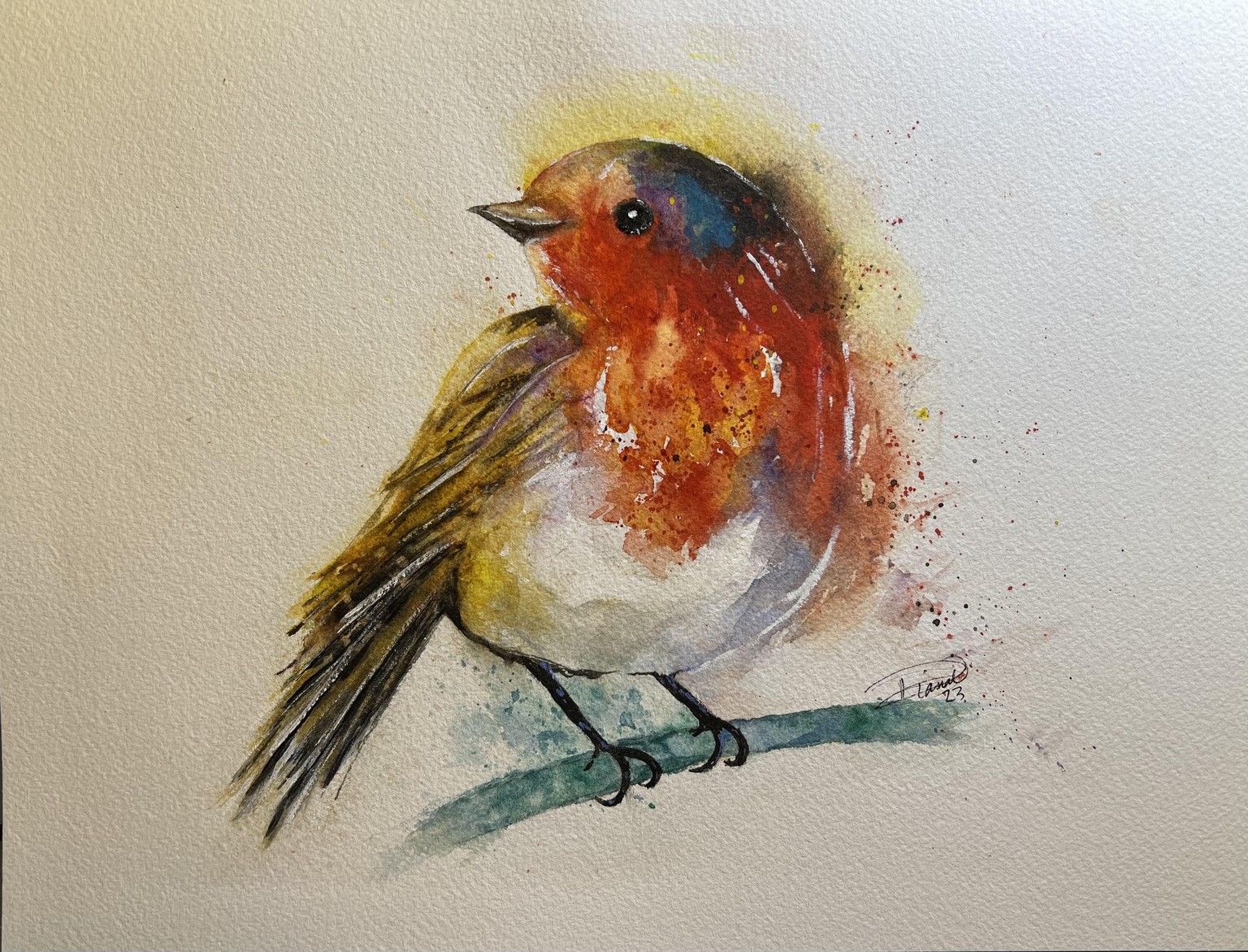 The Robin - image 1 - student project