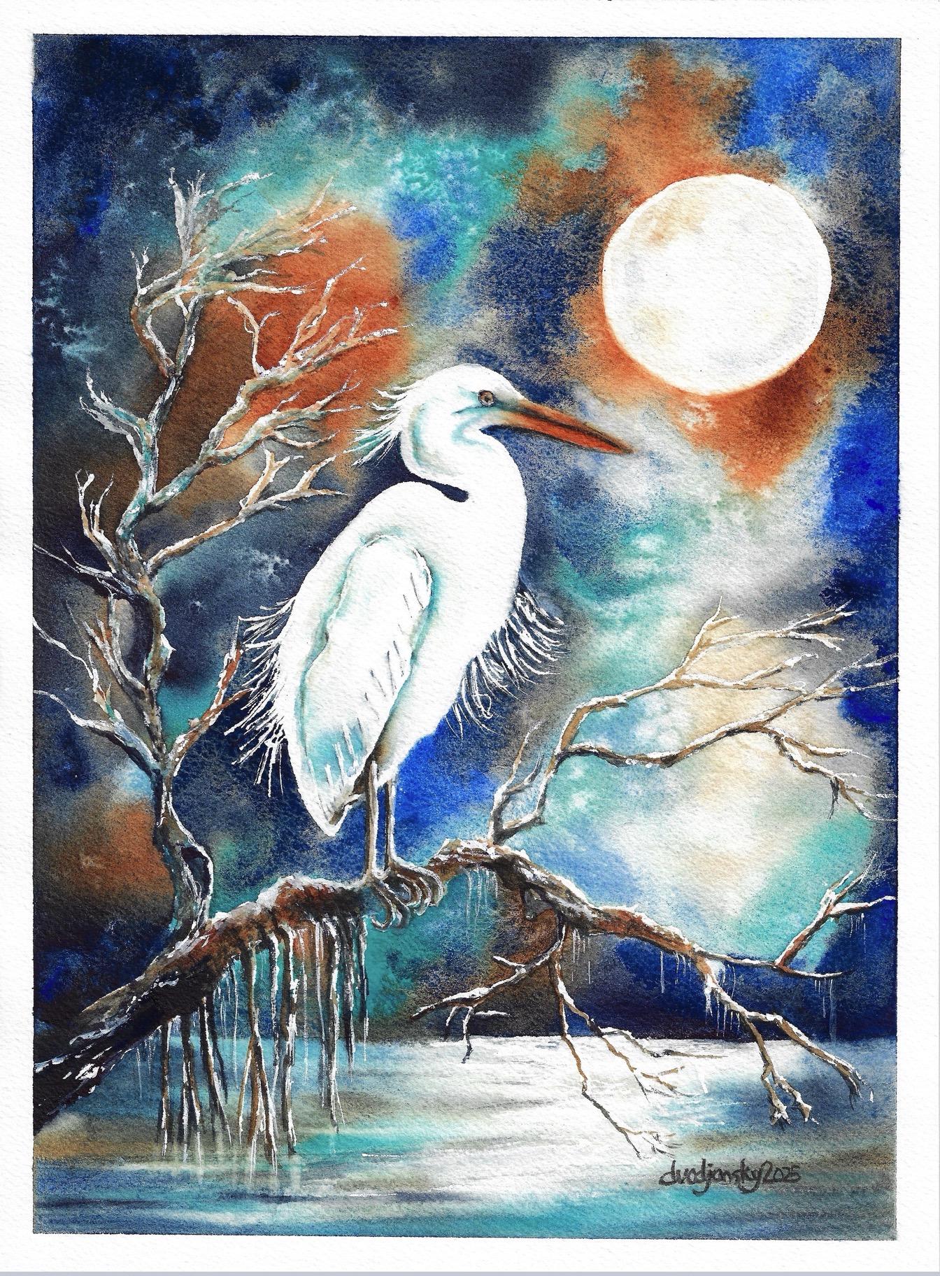 Great White Heron - image 1 - student project