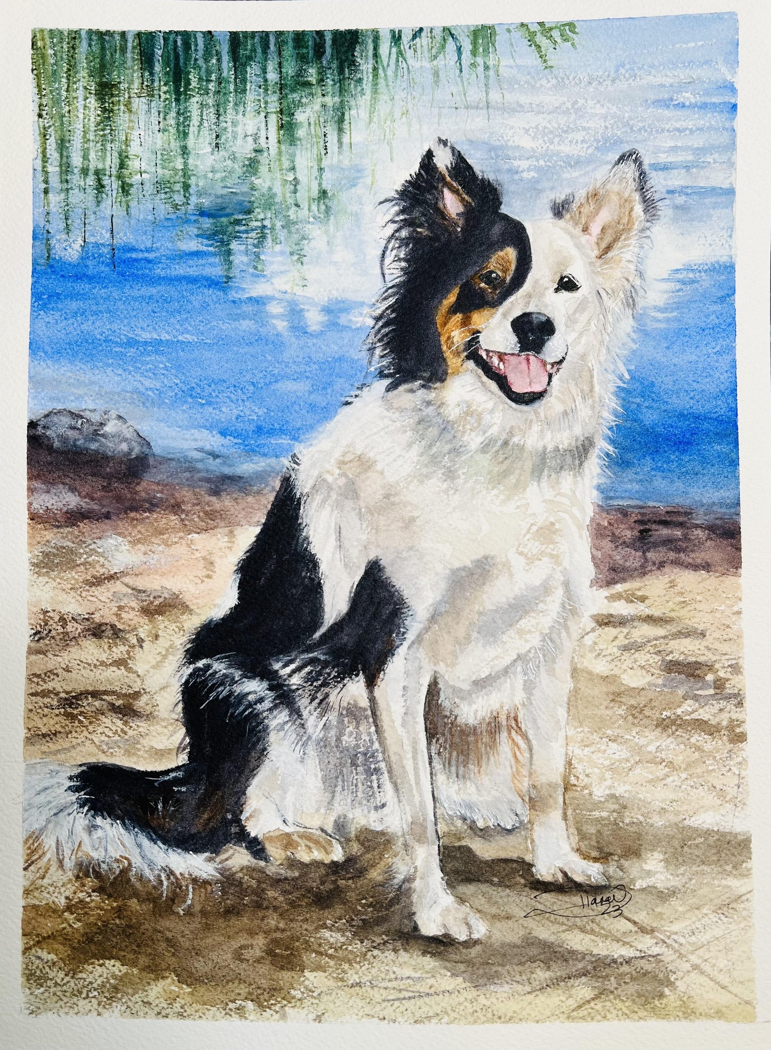 My dog JayCee 2010-2022 - image 1 - student project