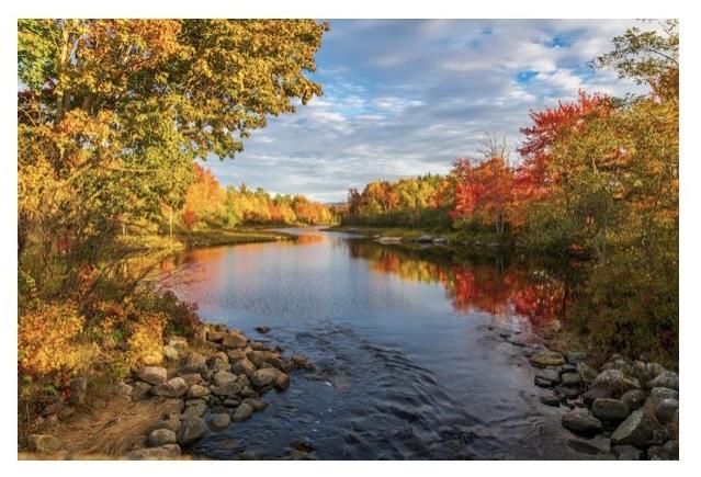 Updated Fall & Winter Landscape - image 4 - student project
