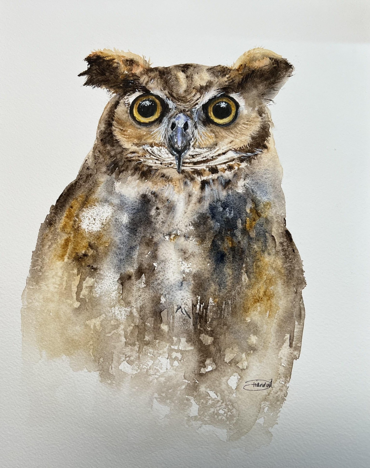 Great Horned Owl - image 1 - student project